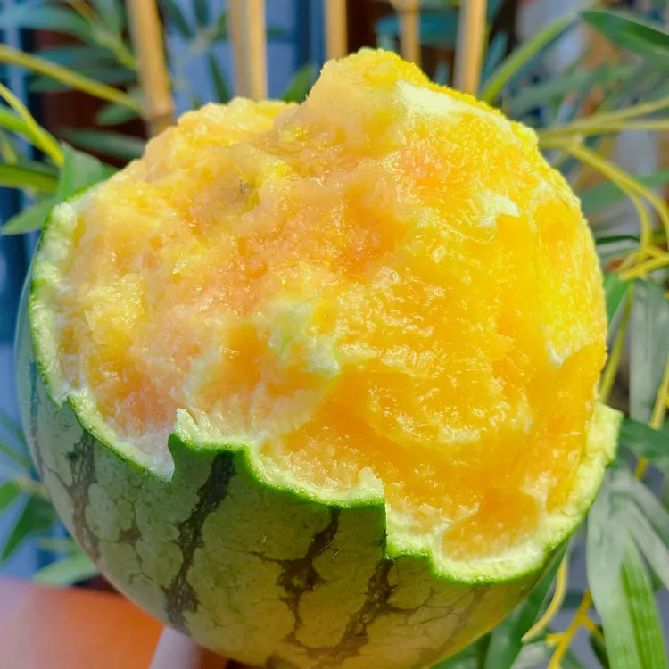 彩虹西瓜果肉脆爽水份足甜度高入口即化【冷藏后口感更佳】