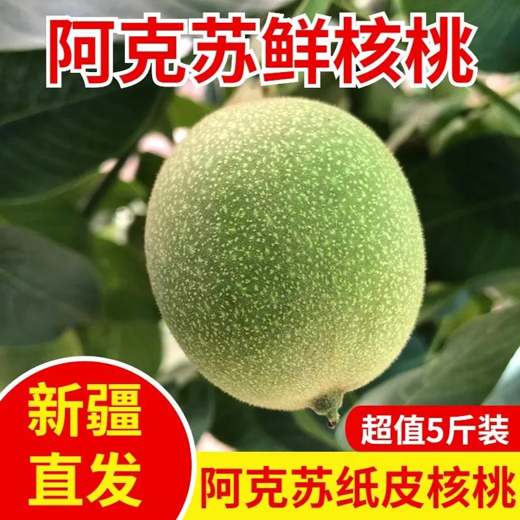 2025新鲜185纸皮核桃/水果露仁核桃现采带青皮湿核桃绿皮生核桃