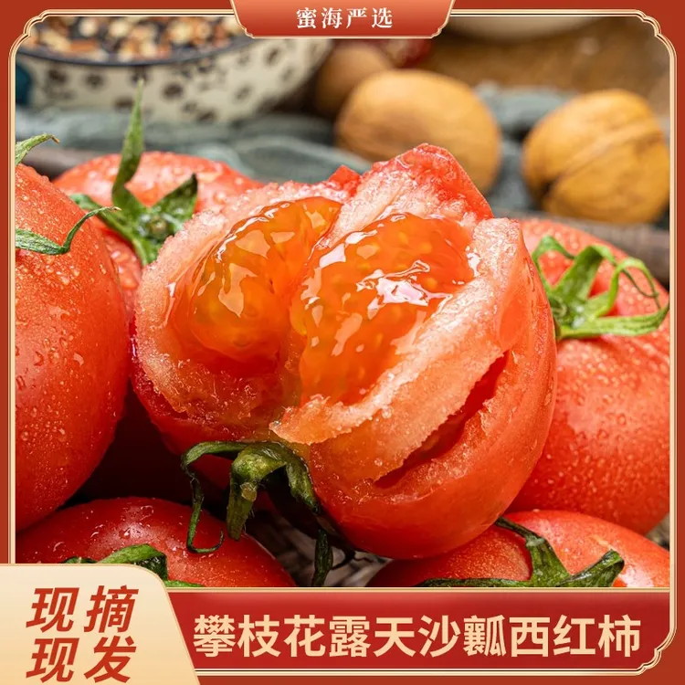 【蜜海严选】攀枝花露天种植沙瓤西红柿5斤装自然熟酸甜多汁