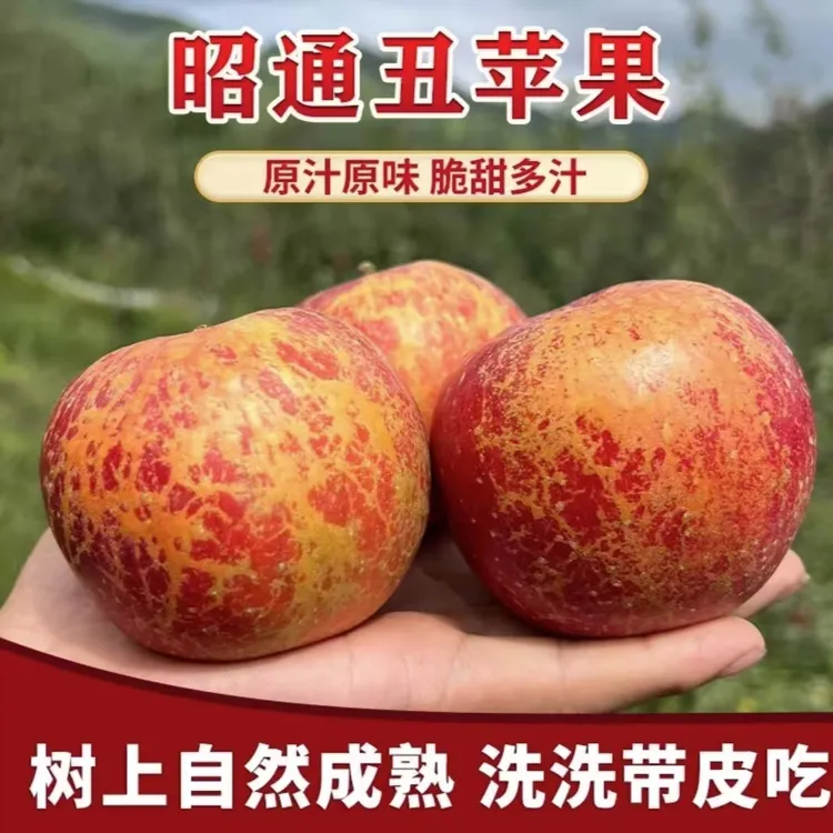 正宗云南昭通冰糖心苹果甜脆水果多汁鲜苹果精选爽脆五斤包邮
