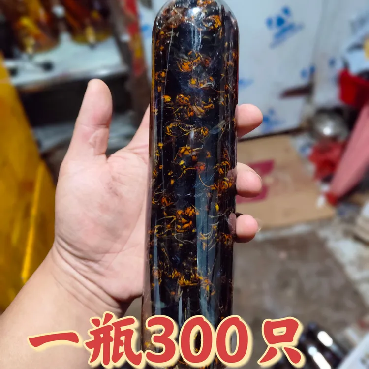 树蜂马蜂葫芦蜂老蜂活泡带原浆发货一瓶450g300只以上。