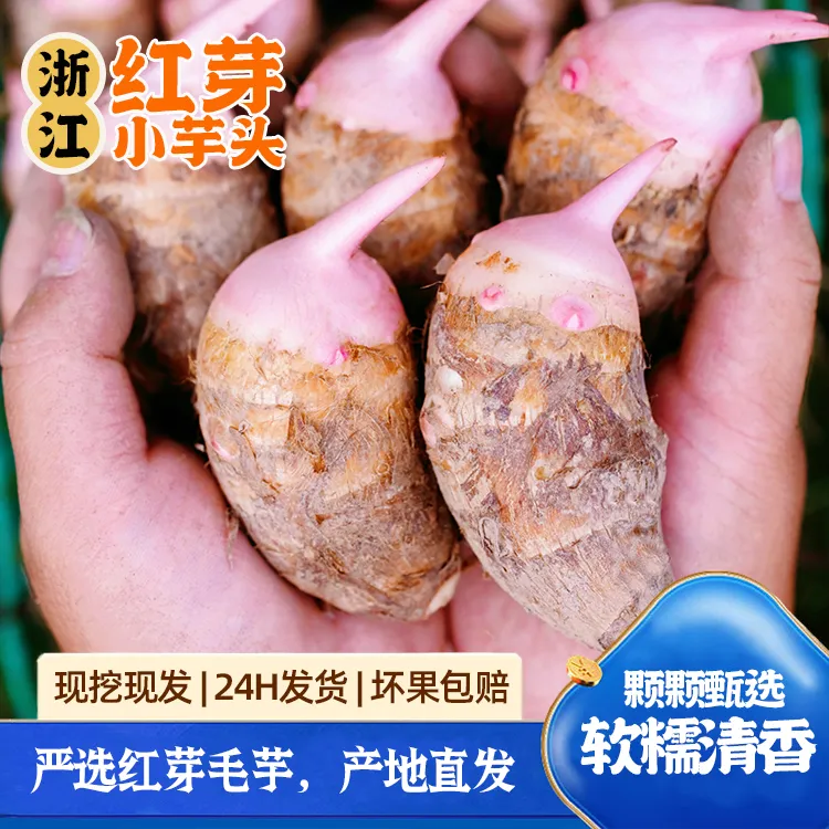 浙江红芽芋头新鲜蔬菜小芋头软糯清香芋艿红嘴香芋子毛芋现挖现发