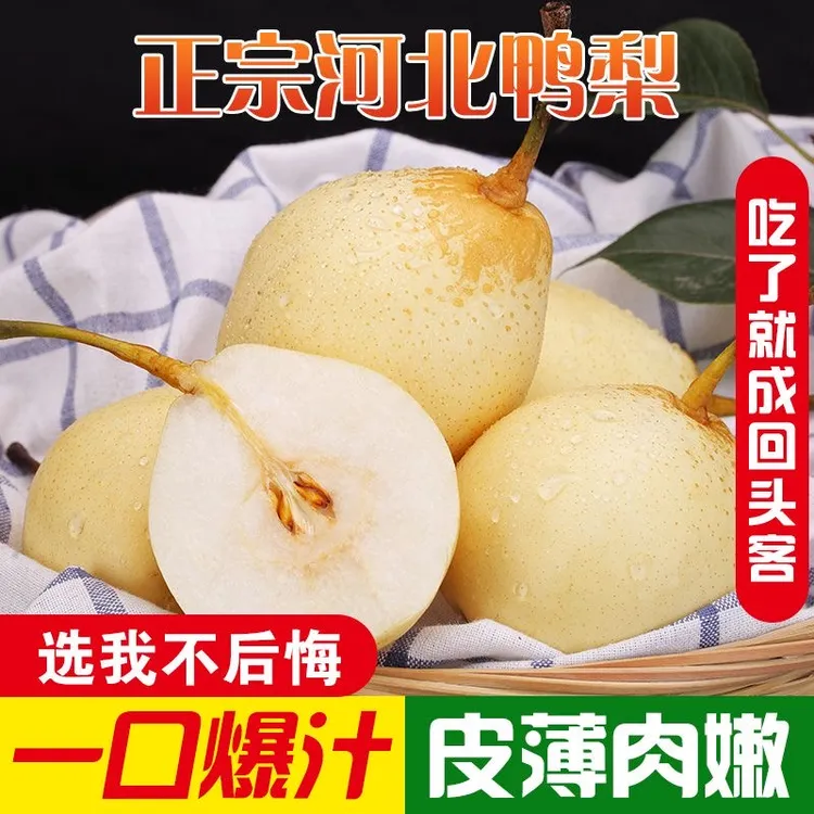 河北鸭梨正宗酥脆梨子新鲜水果现摘水晶梨酸甜可口应季3/5/9斤