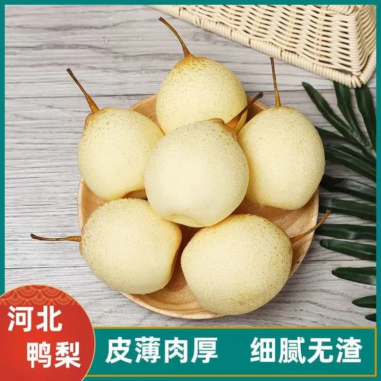 河北鸭梨水晶梨脆甜梨10斤整箱装非皇冠雪梨新鲜酸甜梨子水果