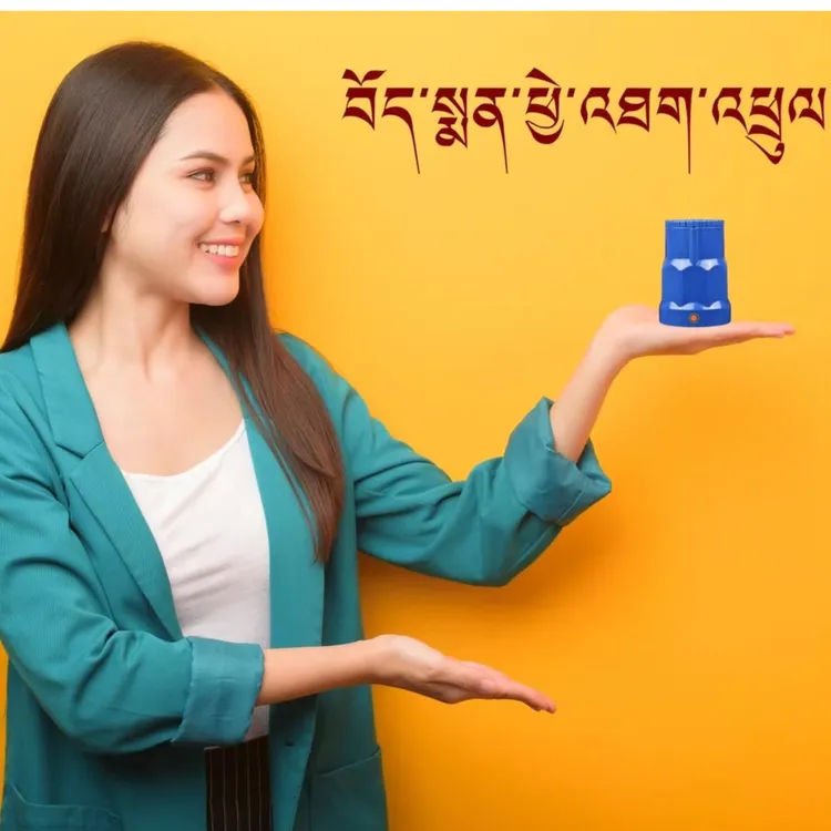 民族特色用藏药打粉器，虫草等