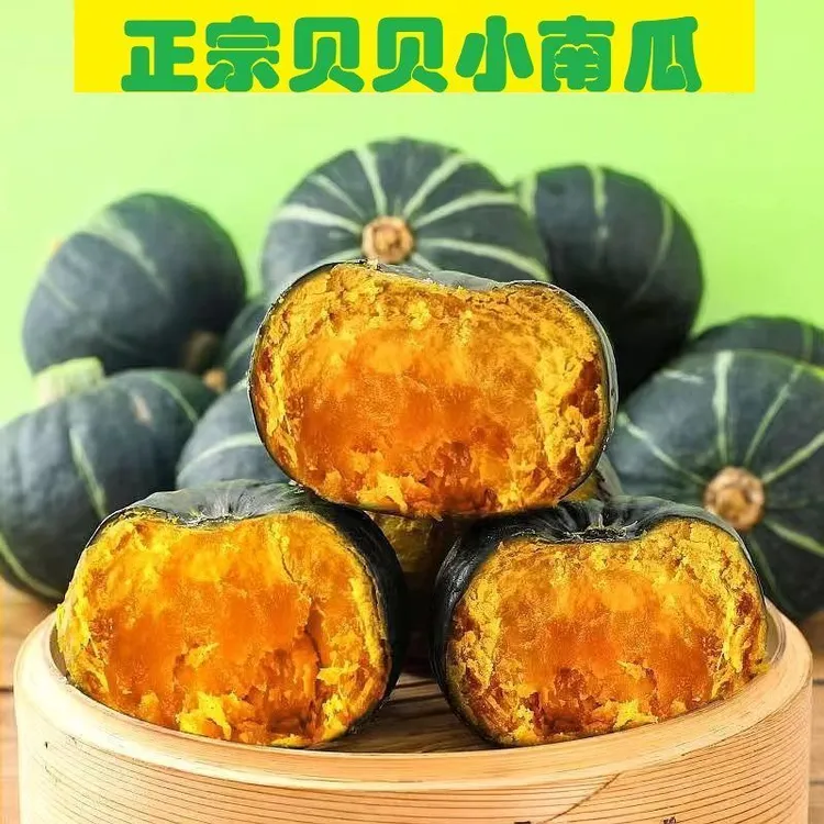 【正宗贝贝南瓜】板栗味小南瓜宝宝辅食新鲜粉糯甜老南非仿真果蔬