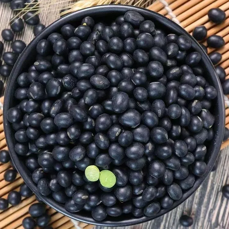 新黑豆打豆浆绿心大黑豆干净饱满非转基因农村自种黑豆子黑小豆