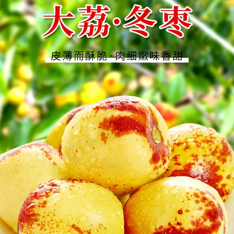 大荔冬枣 脆甜多汁 皮薄肉厚 产地直发 顺丰包邮