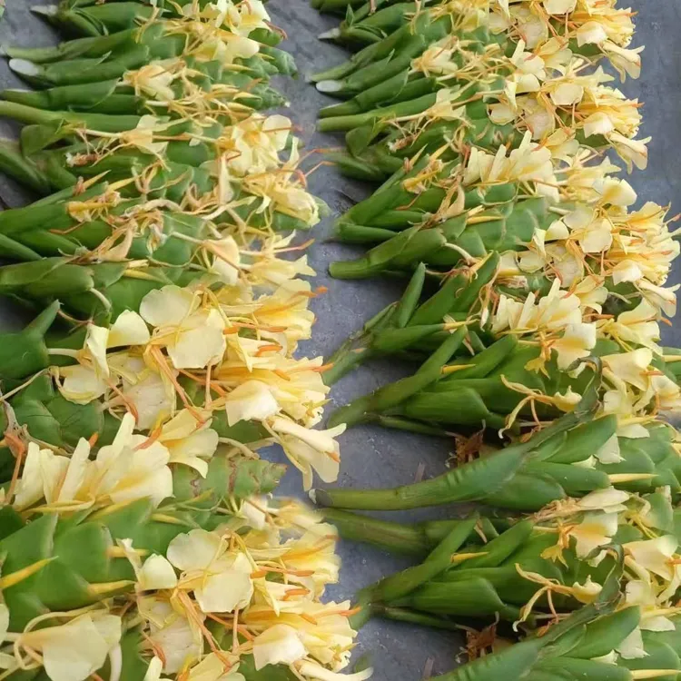 贵州特产干货草果花农家草果花炖汤鲜美草果花干花果高汤食用50g