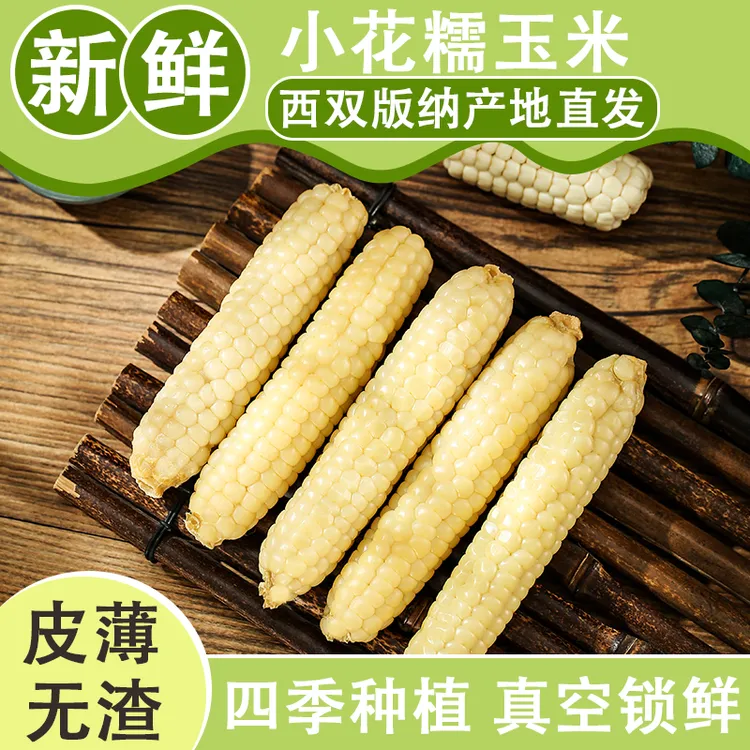 云南西双版纳拇指小玉米真空包装新鲜糯玉米蒸煮加热即食甜糯玉米