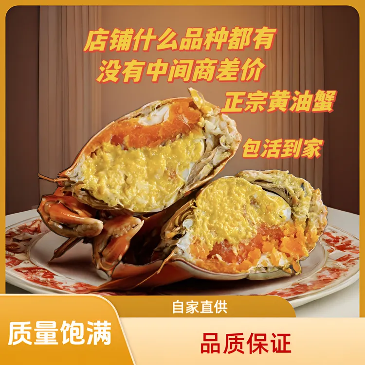 没有中间商差价膏油蟹正宗黄油蟹膏蟹青蟹鲜活海鲜水产产地礼盒