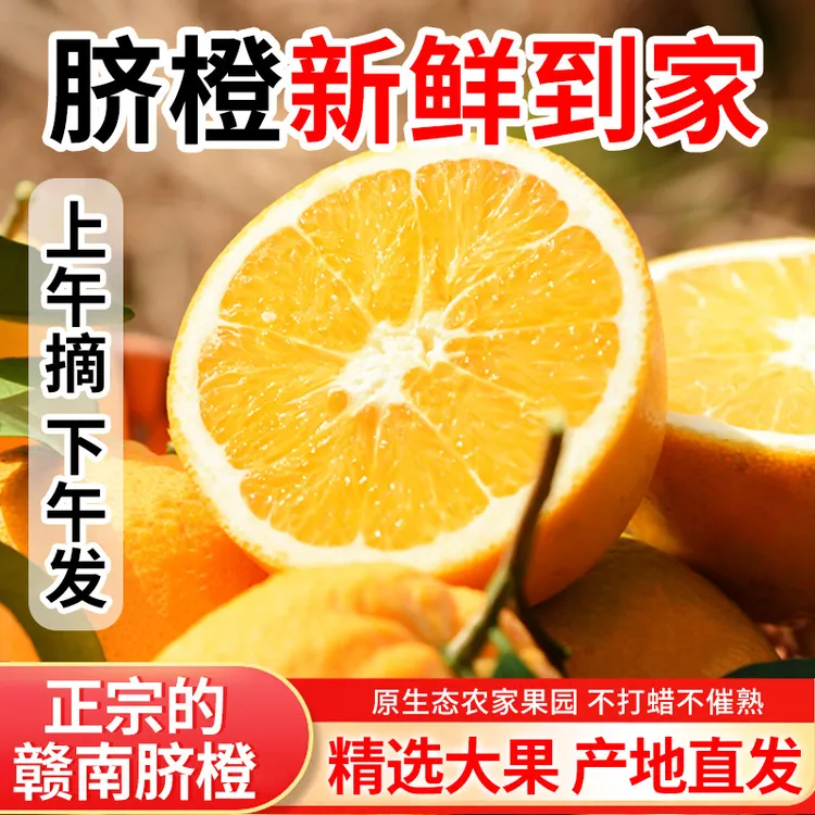 【香甜】江西赣南脐橙橙子当季新鲜水果正宗赣州甜橙果园直发