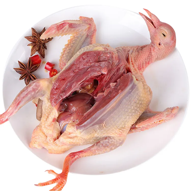 6-7两5只农家散养粮食鸽营养现杀新鲜鲜嫩鸽子杂粮鸽新鲜鸽子汤