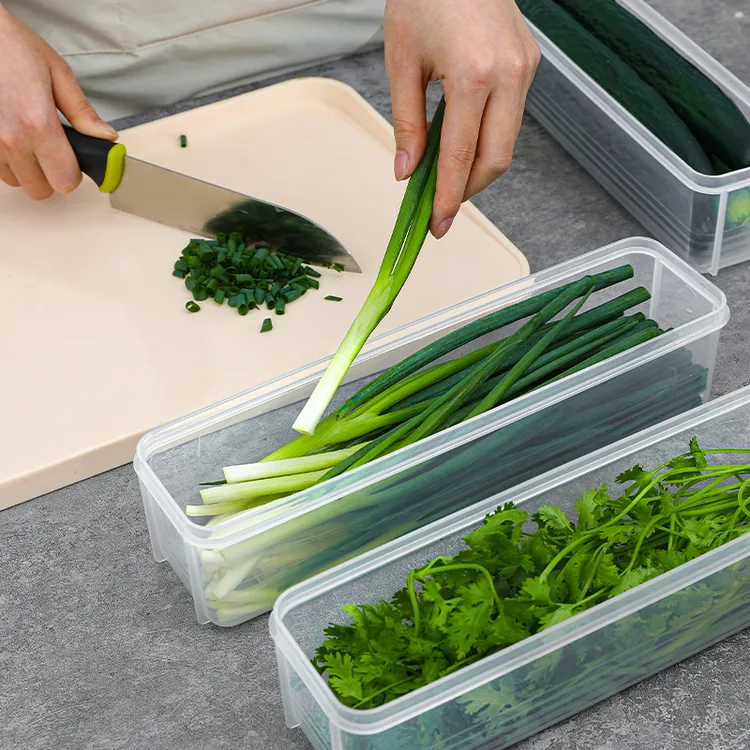 日本进口小葱香菜保鲜盒冰箱放葱长条食品级面条蔬菜葱姜蒜收纳盒
