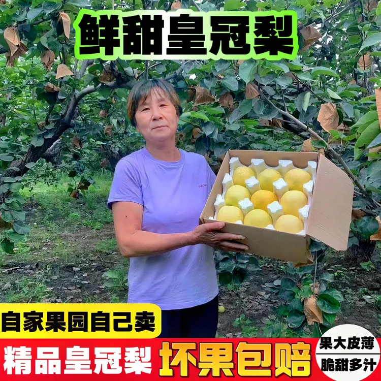 秋月梨鸭梨河北正宗皇冠梨皮薄多汁当季水果批新鲜梨子雪梨脆梨梨