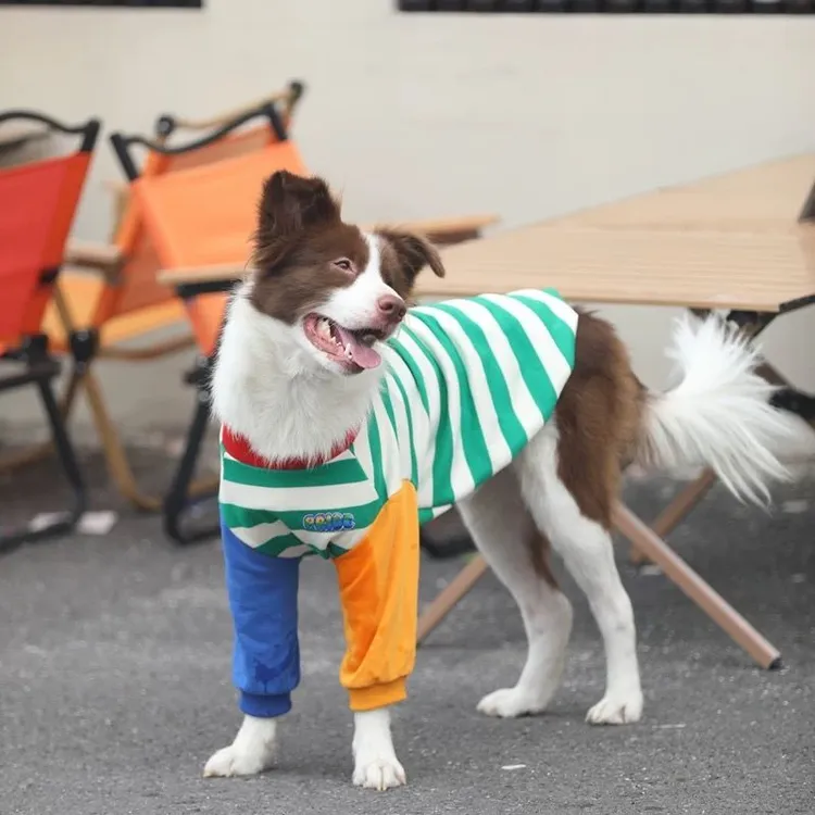 中大型犬狗狗衣服四季卫衣宠物金毛边牧萨摩耶撞色拼接潮牌秋装