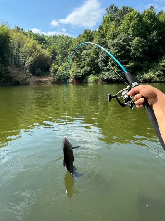 1.5米加强远投岸筏路亚一体竿（可直飞5斤断了直接换新的）质保三年