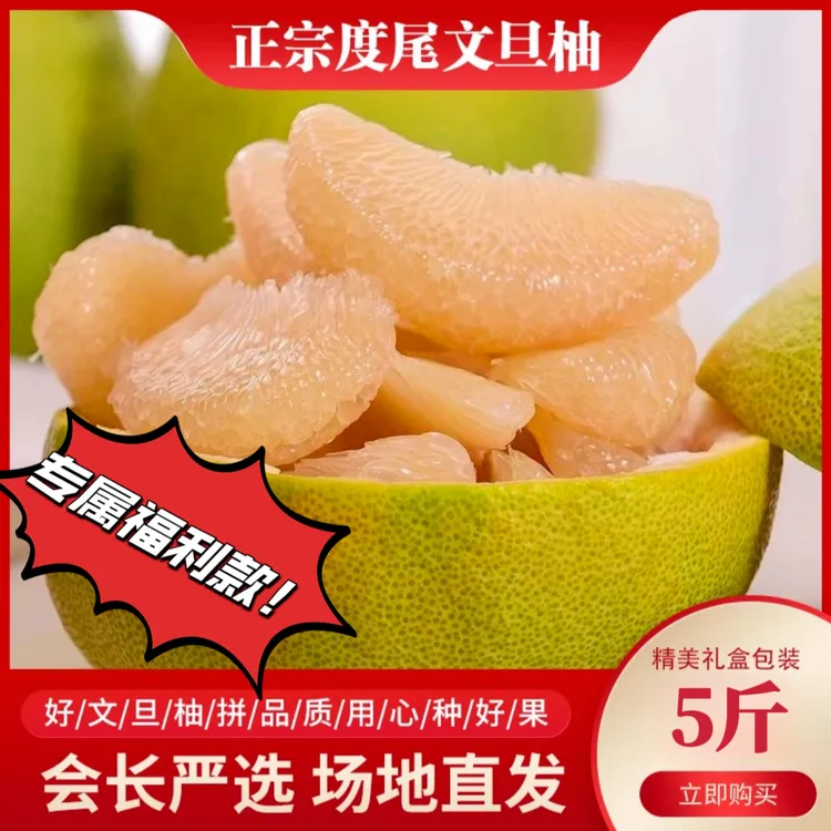（新粉专属福利）福建度尾文旦柚新鲜水果红心蜜柚子老树果子5斤装