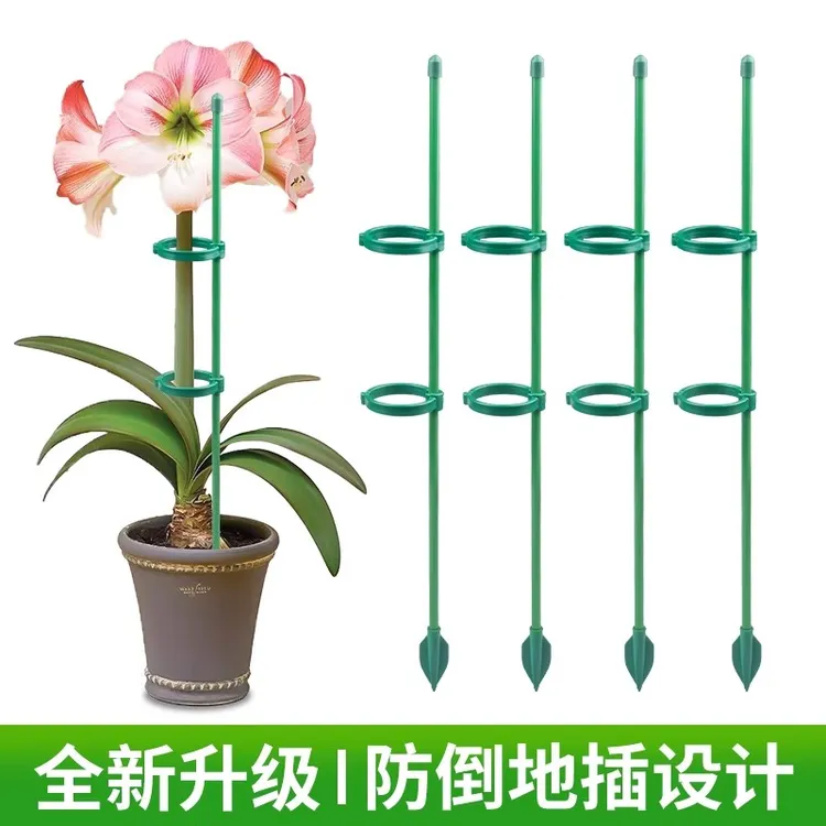 植物防倒伏支架支撑杆园艺固定架朱顶红花架龟背竹天堂鸟爬藤植物