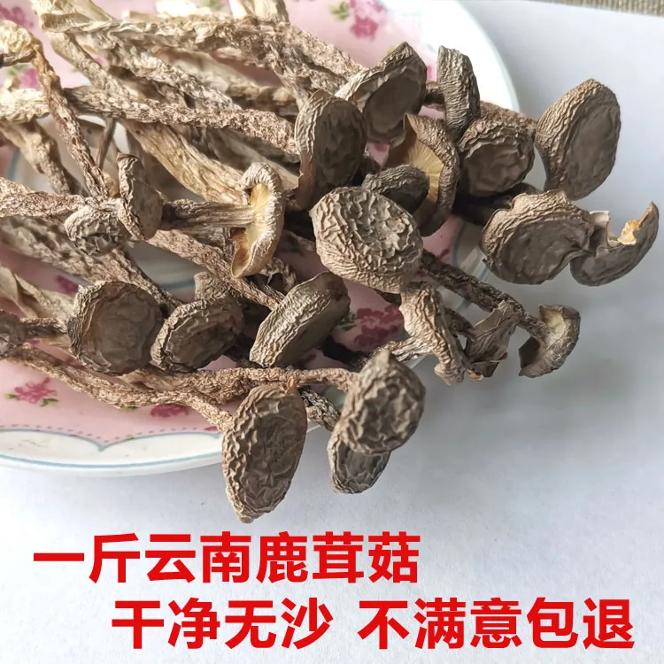 新货云南特产鹿茸菇500g鹿茸菌精品干货正品脆脆菇野生菌煲汤包邮