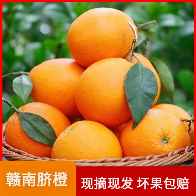 正宗赣南脐橙新鲜水果橙子产地直供当季水果江西橙子