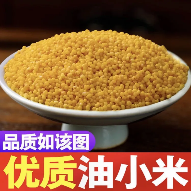 陕北米脂小米正宗杂粮食用正宗黄小米陕西小米陕北农家粘稠健康