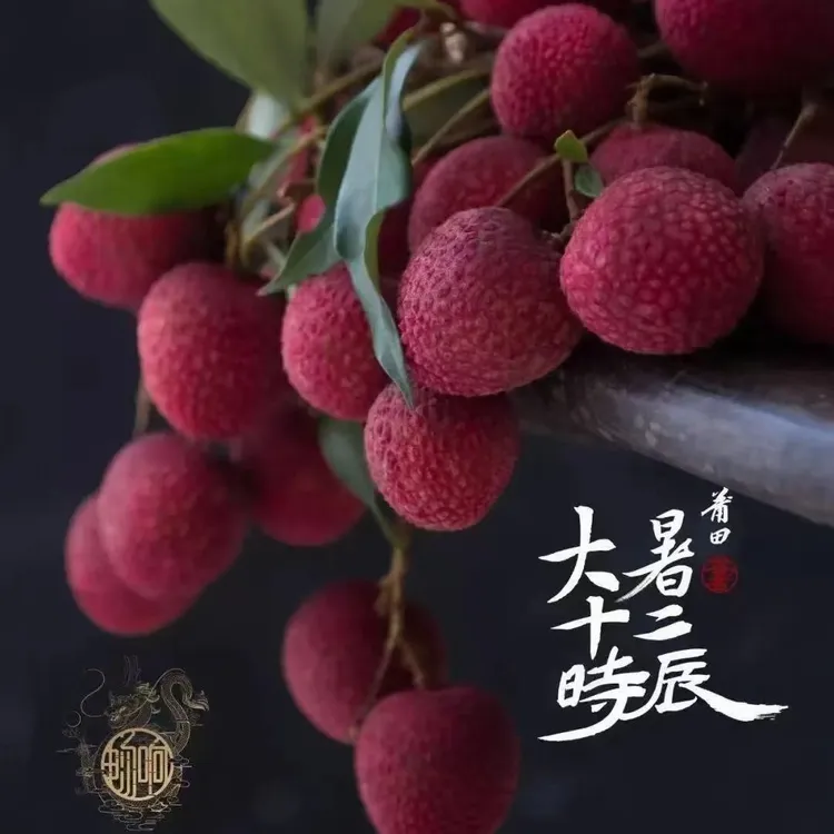 福建莆田荔枝状元红荔枝新鲜应季水果百年老树小籽荔枝顺丰包邮