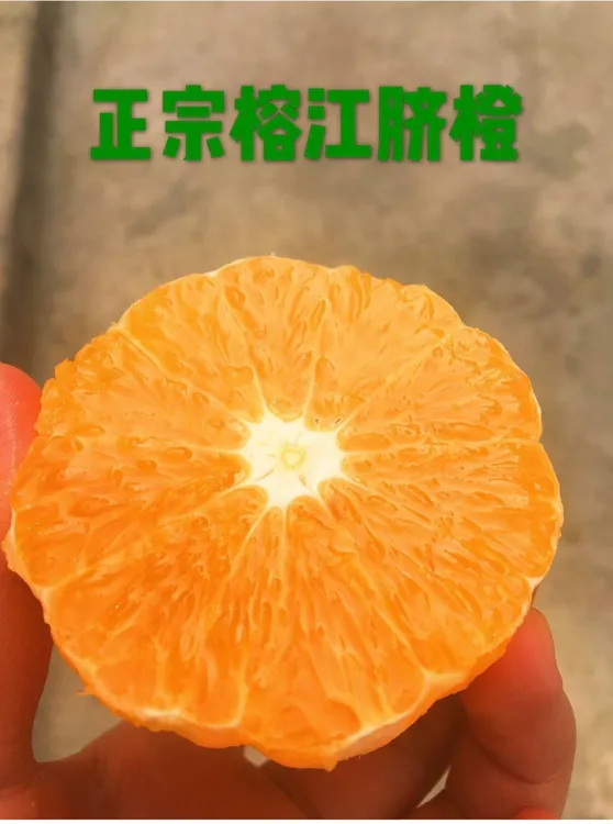 榕江脐橙，自然成熟，味美香甜，坏果包赔。