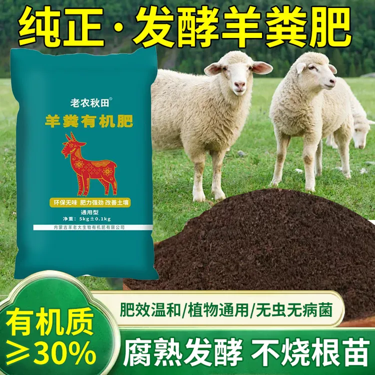 【养花种菜果园】北方草地羊粪发酵到有机肥草莓菜地有机花芽