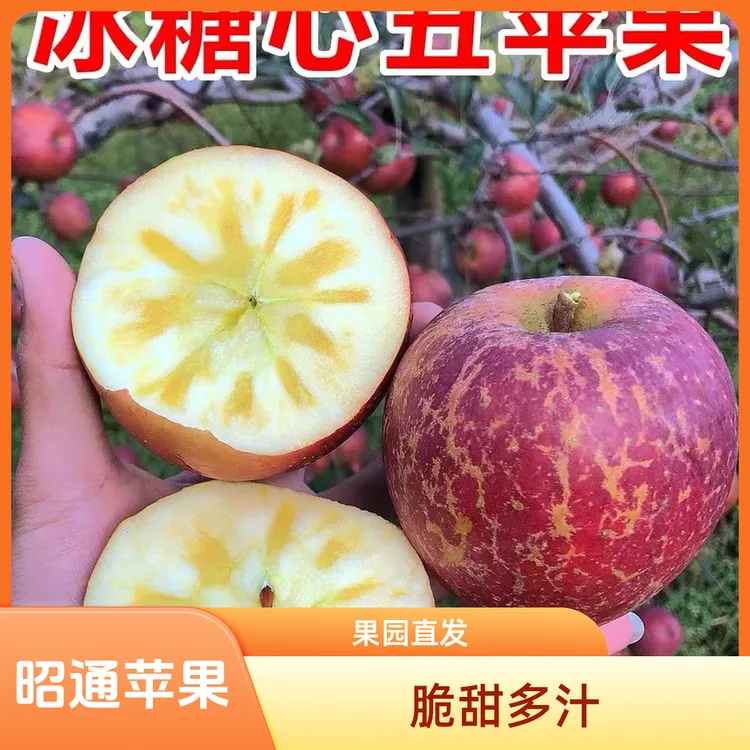云南昭通苹果脆甜多汁3/5/10斤果园直发，