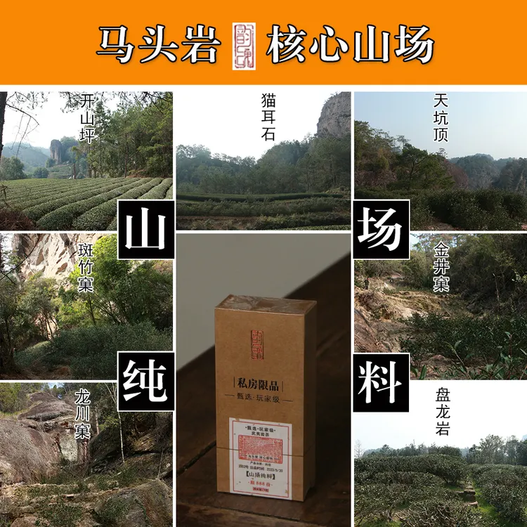 山场纯料 马头岩腹地盘龙开山金井涧龙川斑竹窠 肉桂老枞梅占水仙