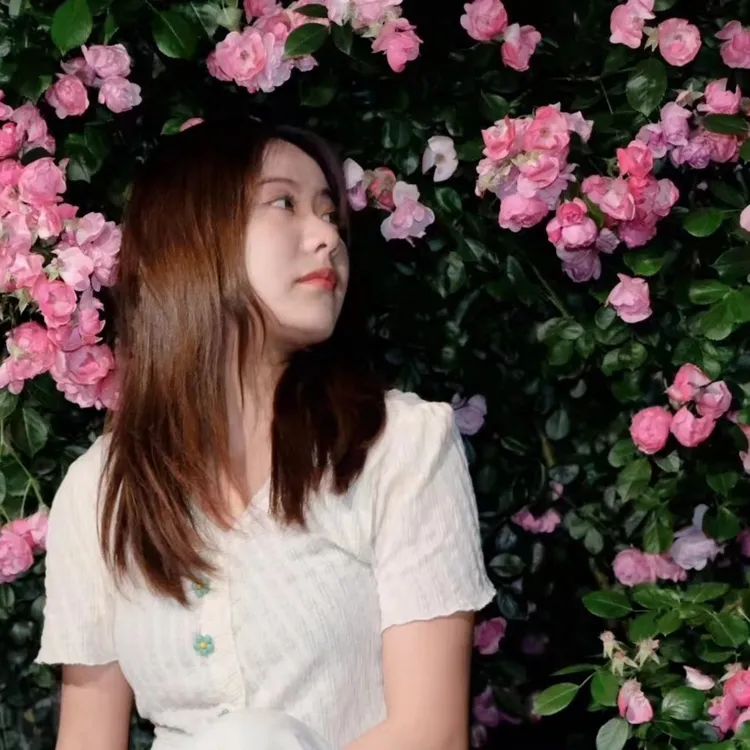 安吉拉爬藤月季蔷薇花四季开花勤花