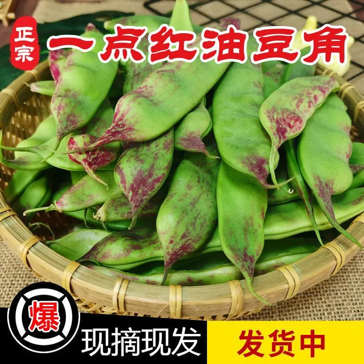 【现摘】油豆角新鲜现摘现发一点红豆角新鲜蔬菜九月青开锅烂