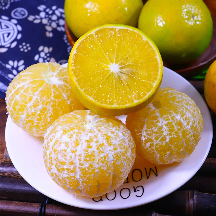 广西皇帝柑贡柑5斤中大果 新鲜采摘发货皮薄多汁水果橘子送开果器