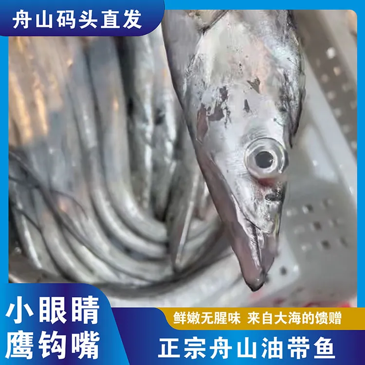 舟山油带鱼小眼睛鹰勾嘴鲜嫩无腥味舟山发货