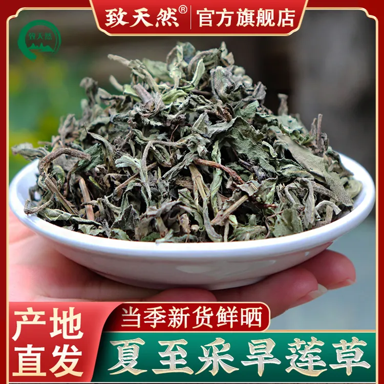 致天然正宗秦岭野生旱莲草新货墨旱莲泡水夏至采收另有枣