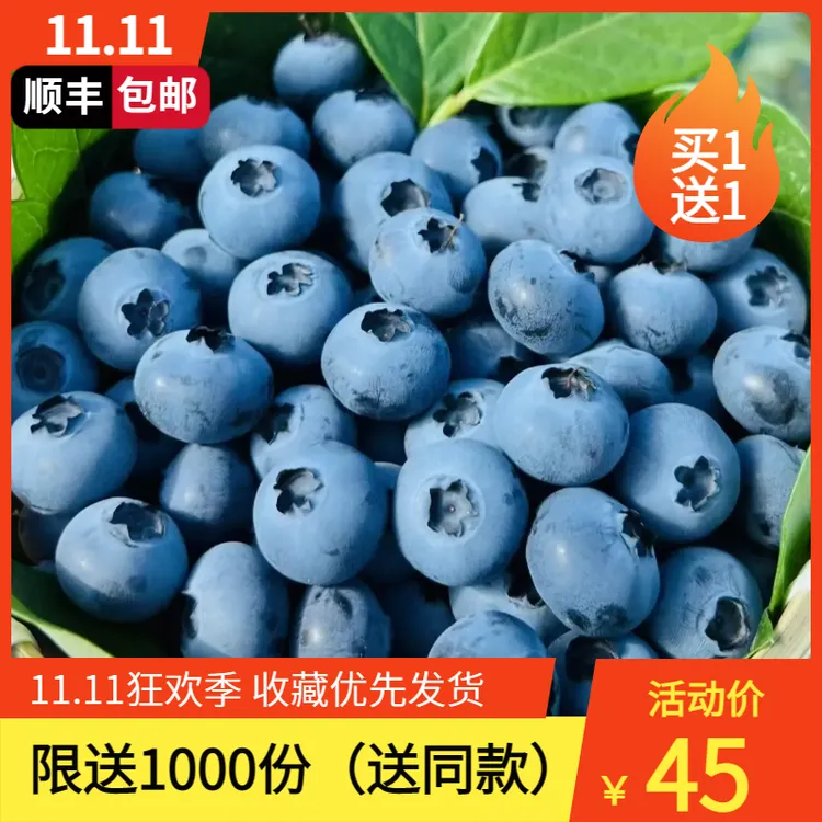 现摘顺丰【M98】巨无霸云南抚仙湖露天蓝莓应季0农残水果宝宝辅食