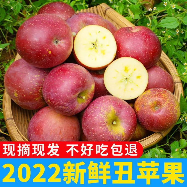 现摘大凉山盐源丑苹果5/10斤带整箱2025年新鲜水果红富士苹果