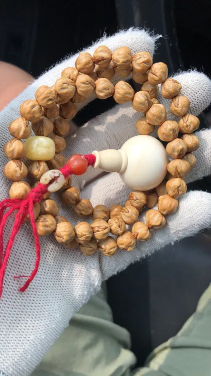 热振柏香籽红牙手持