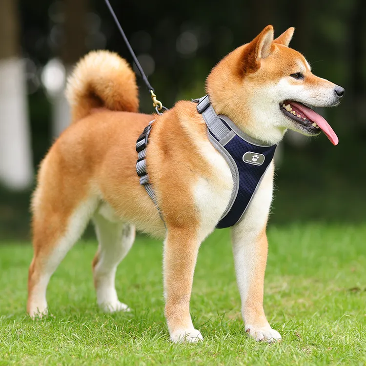 狗狗牵引绳背心式胸背带小中大型犬金毛柯基法斗柴犬遛狗绳狗链子