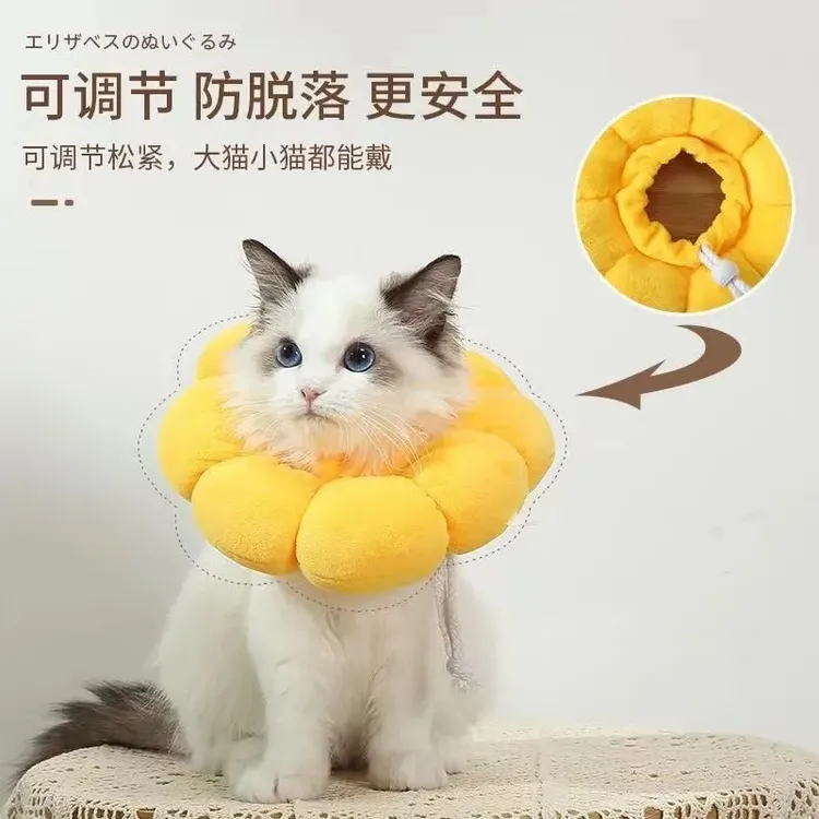 伊丽莎白圈猫绝育项圈防舔除跳蚤英短猫咪脖圈颈圈头套狗宠物yw