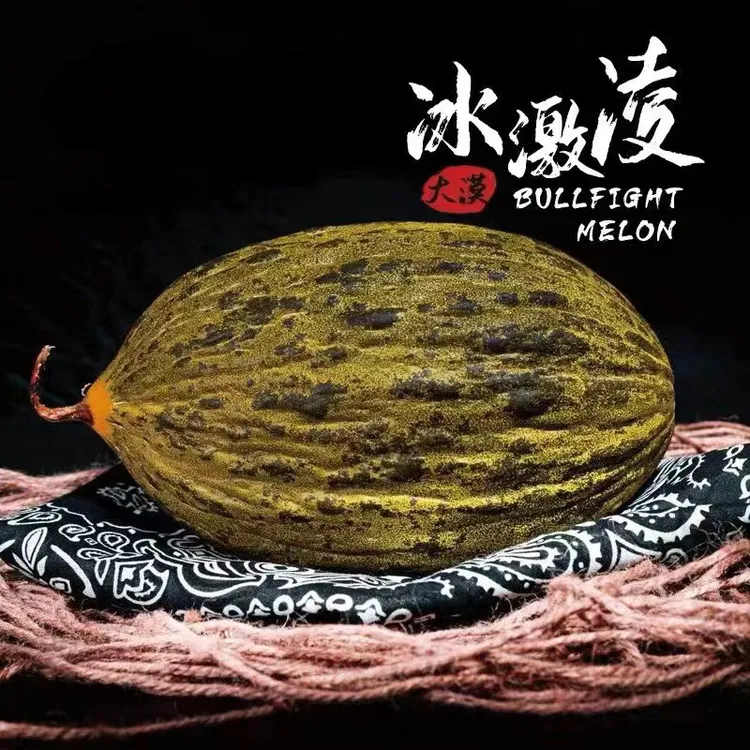 沙漠斗牛蜜瓜巴西蜜软糯香甜多汁冰淇淋蜜瓜黑金蜜甜瓜玛德琳蜜瓜