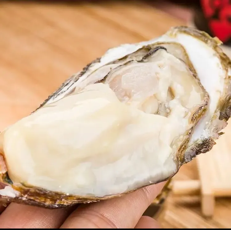 连云港发货   鲜活贝类  生蚝鲜活发货