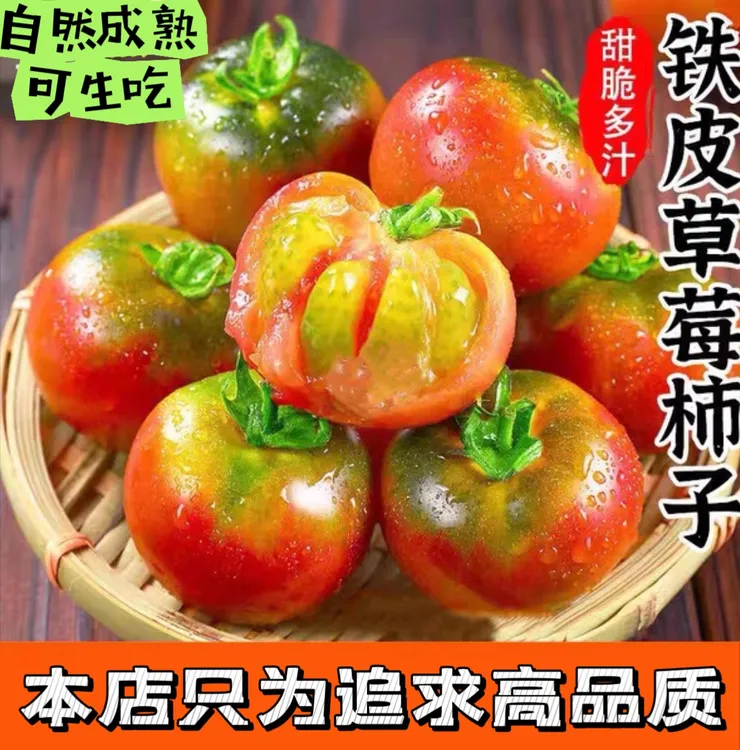 东北碱地铁皮柿子草莓柿子水果西红柿番茄自然成熟可生吃现摘现发