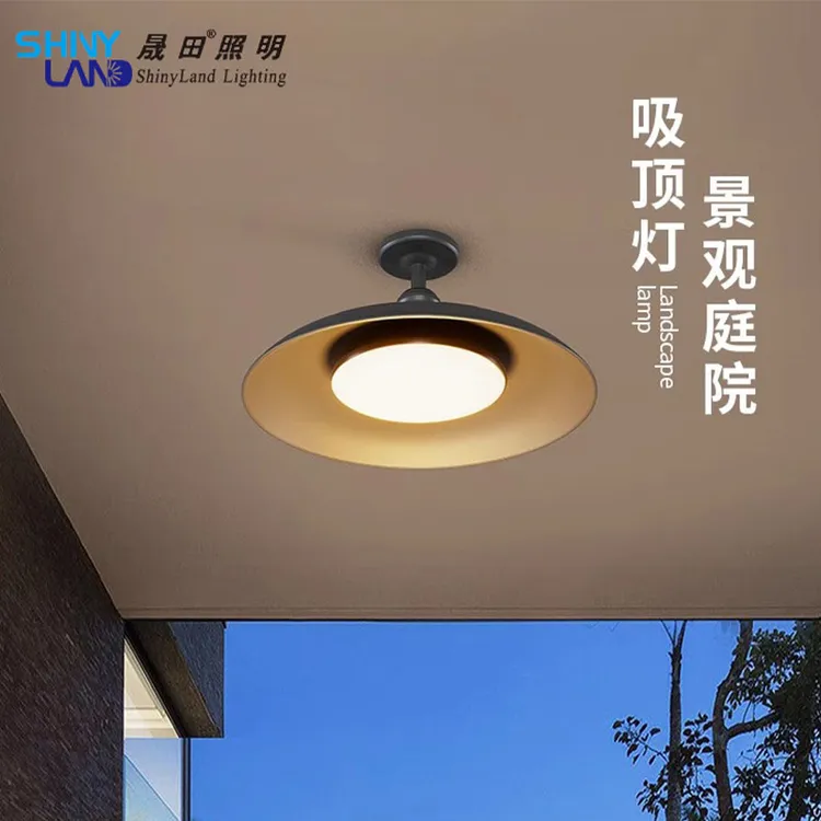 户外庭院凉亭吊灯防水室外花园屋檐客厅家用创意轻奢简约阳台灯