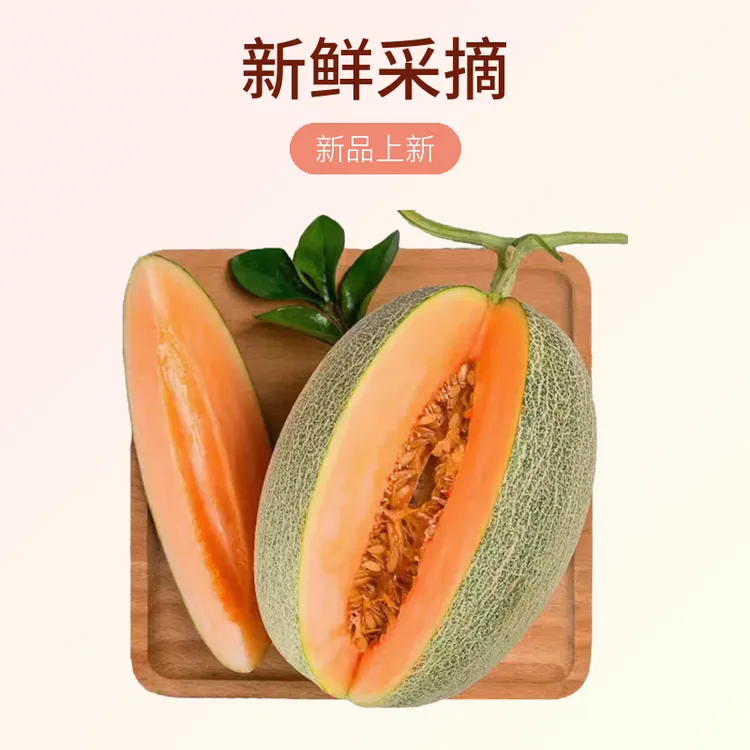 【哚小妞】海南晓蜜25号哈密瓜3斤/9斤新鲜采摘水果脆甜多汁果香