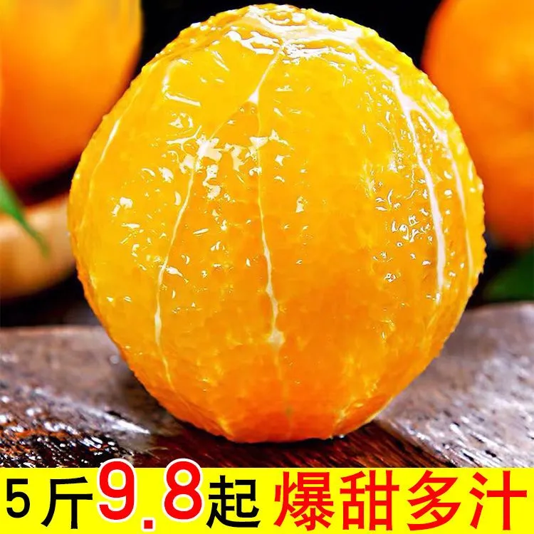 【超低价】橙子脐橙正宗脐橙新鲜当季水果现摘薄皮孕妇3/5/9斤包邮