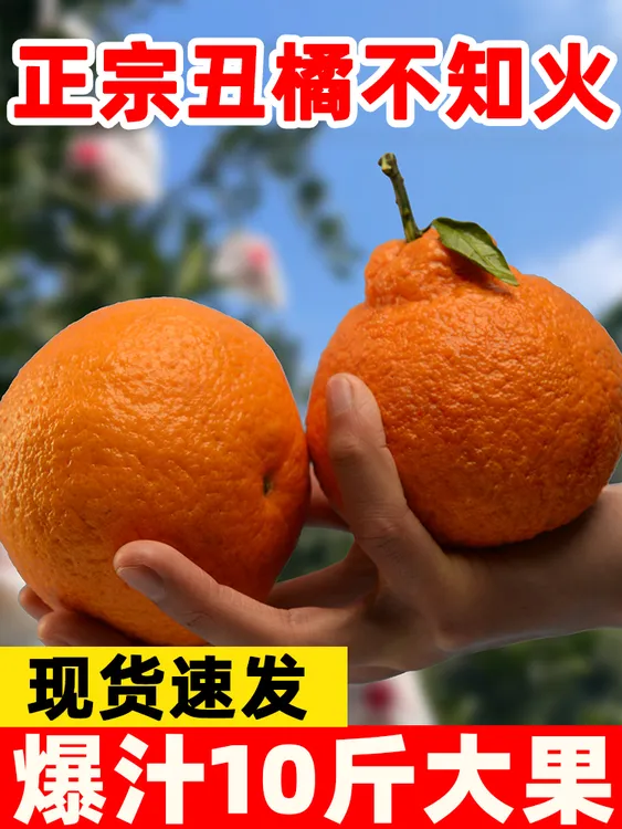 丑橘黄果柑10斤新鲜水果当季时令孕妇果柑丑八怪柑橘丑橘