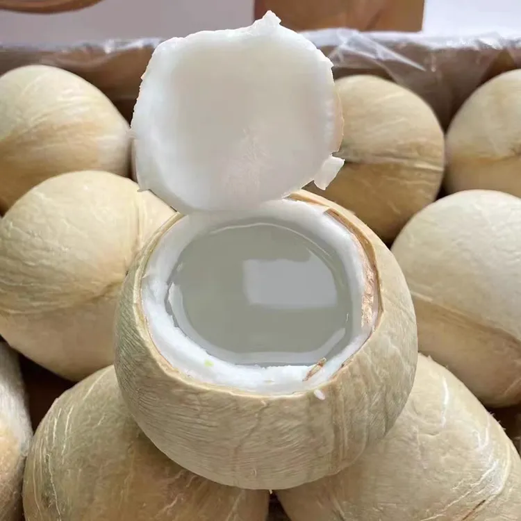 泰国椰皇椰汁！大果-4颗装-9颗-装！冷藏保存！送吸管！顺丰快递