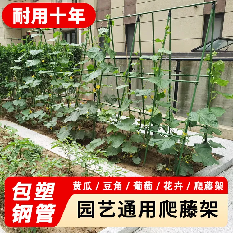 花架爬藤支架葡萄庭院黄瓜丝瓜西红柿月季蔬菜植物支撑杆包塑钢管